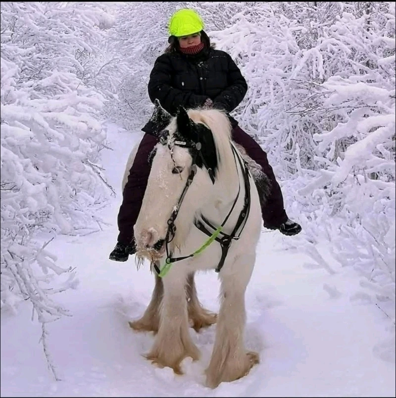 Image uploaded by Miidna