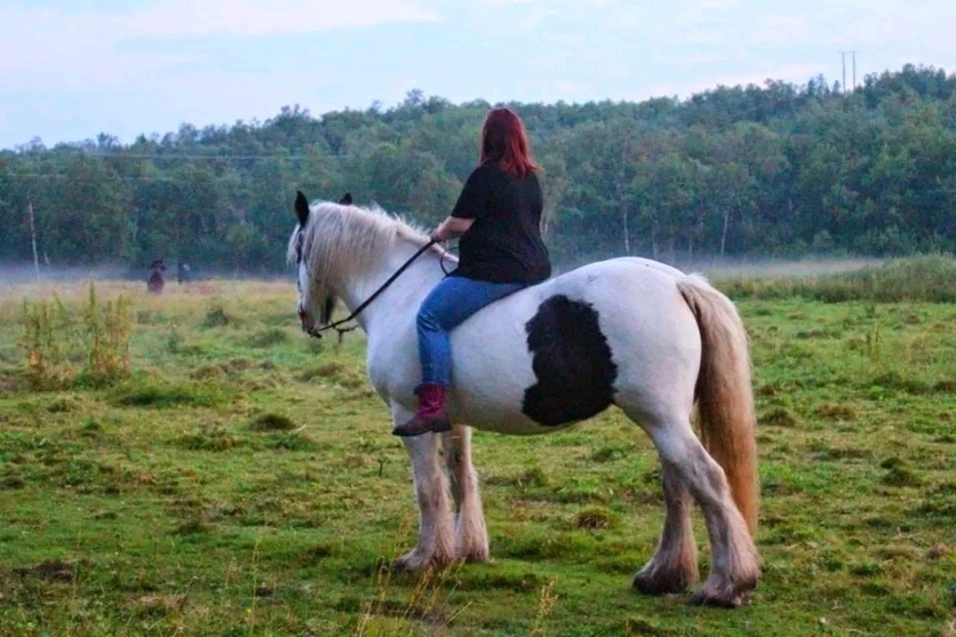 Image uploaded by Miidna