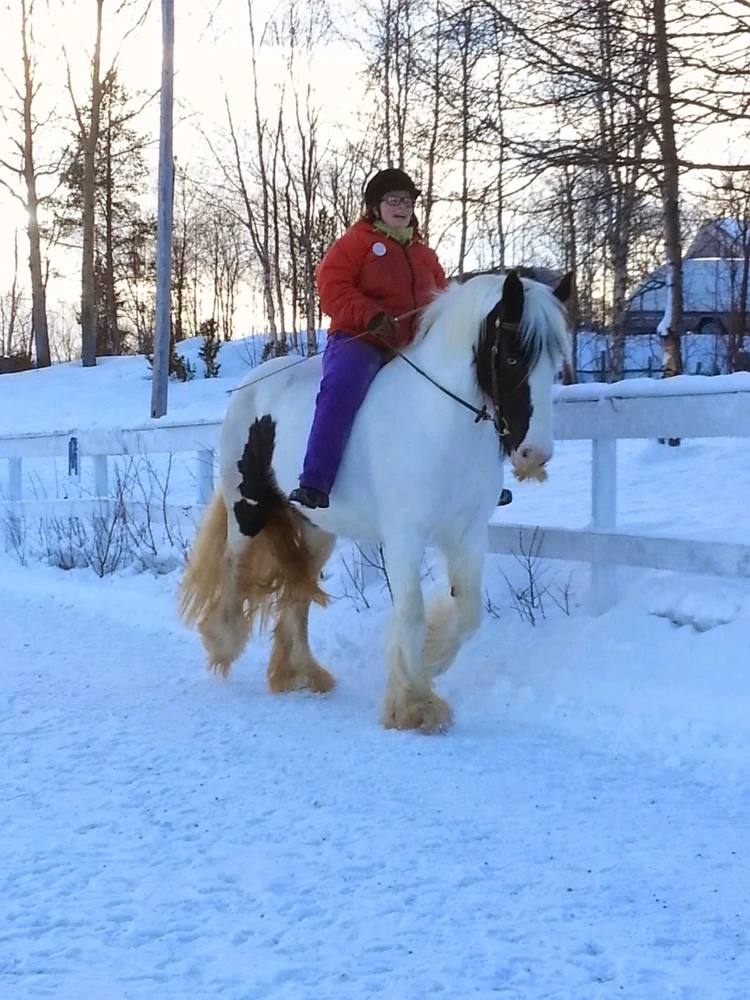 Image uploaded by Miidna