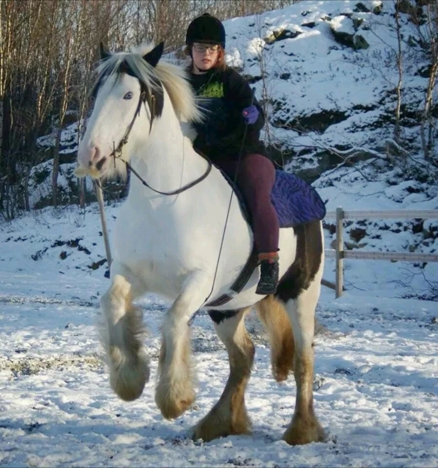 Image uploaded by Miidna