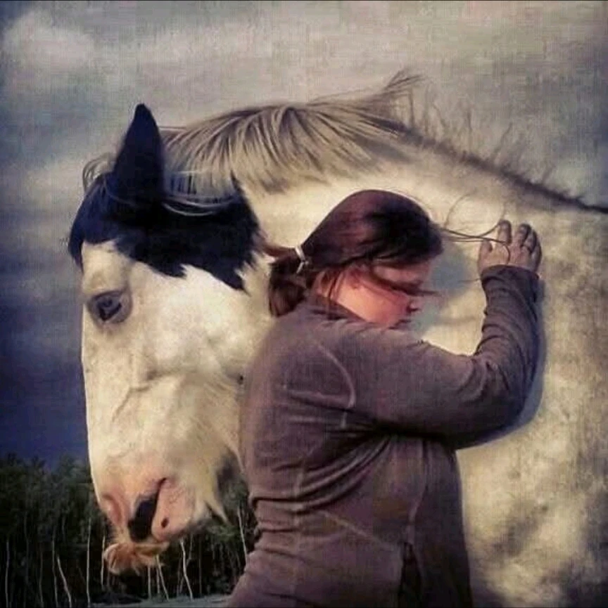 Image uploaded by Miidna