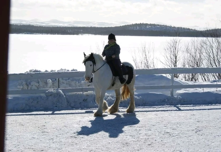 Image uploaded by Miidna