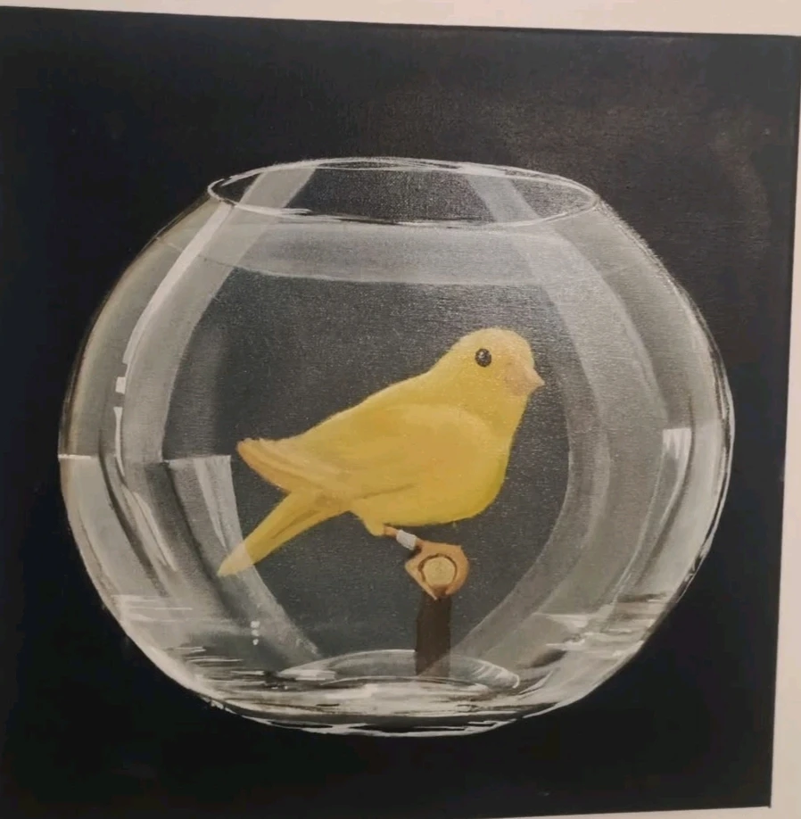 Afbeelding geüpload door Jan