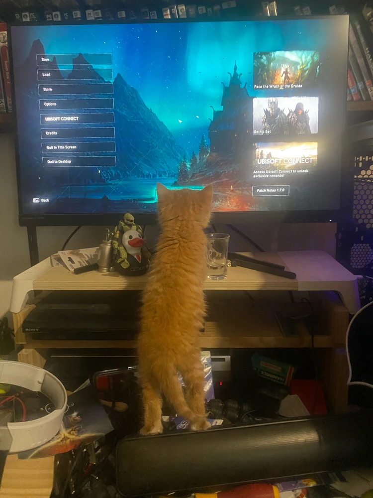 GIF uploaded by Barry