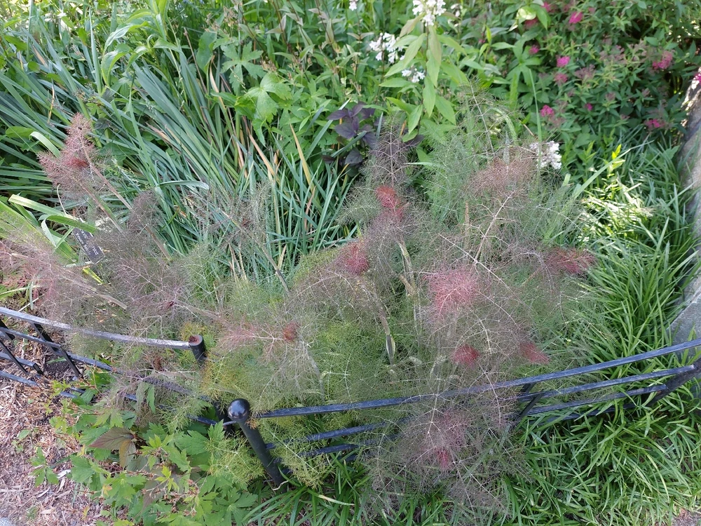 GIF uploaded by Jonathan