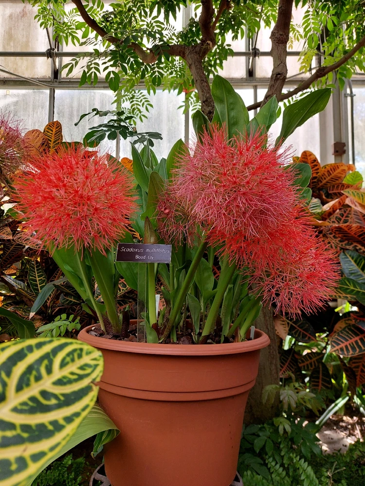 GIF uploaded by Jonathan