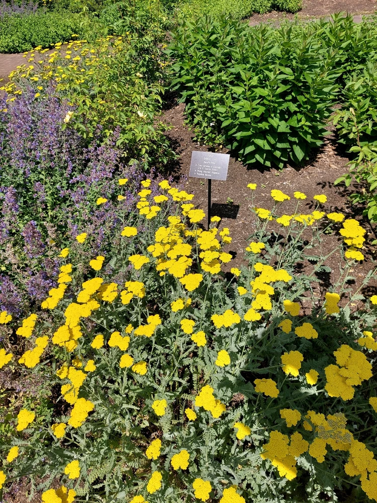 GIF uploaded by Jonathan