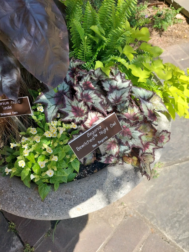 GIF uploaded by Jonathan