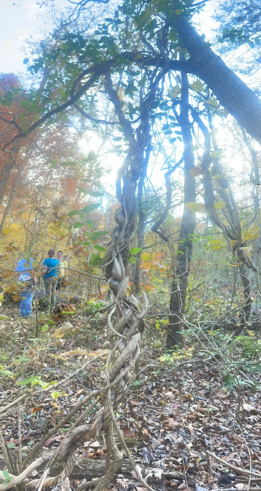 Image uploaded by Robbie