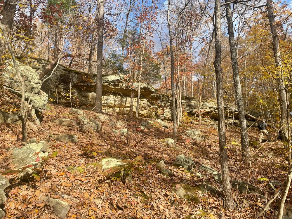 Image uploaded by Robbie