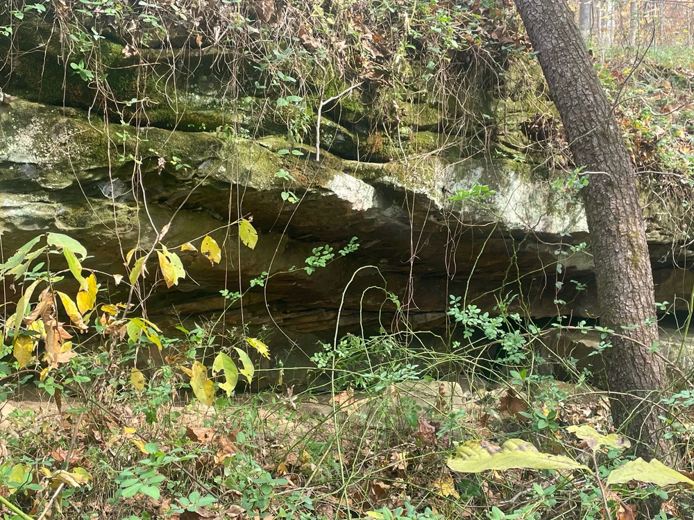 Image uploaded by Robbie