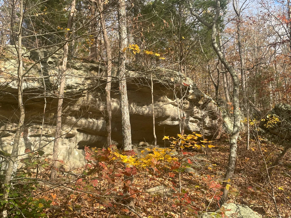 Image uploaded by Robbie