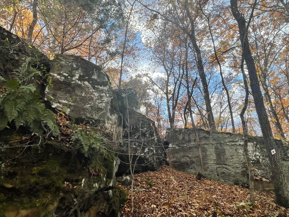 Image uploaded by Robbie