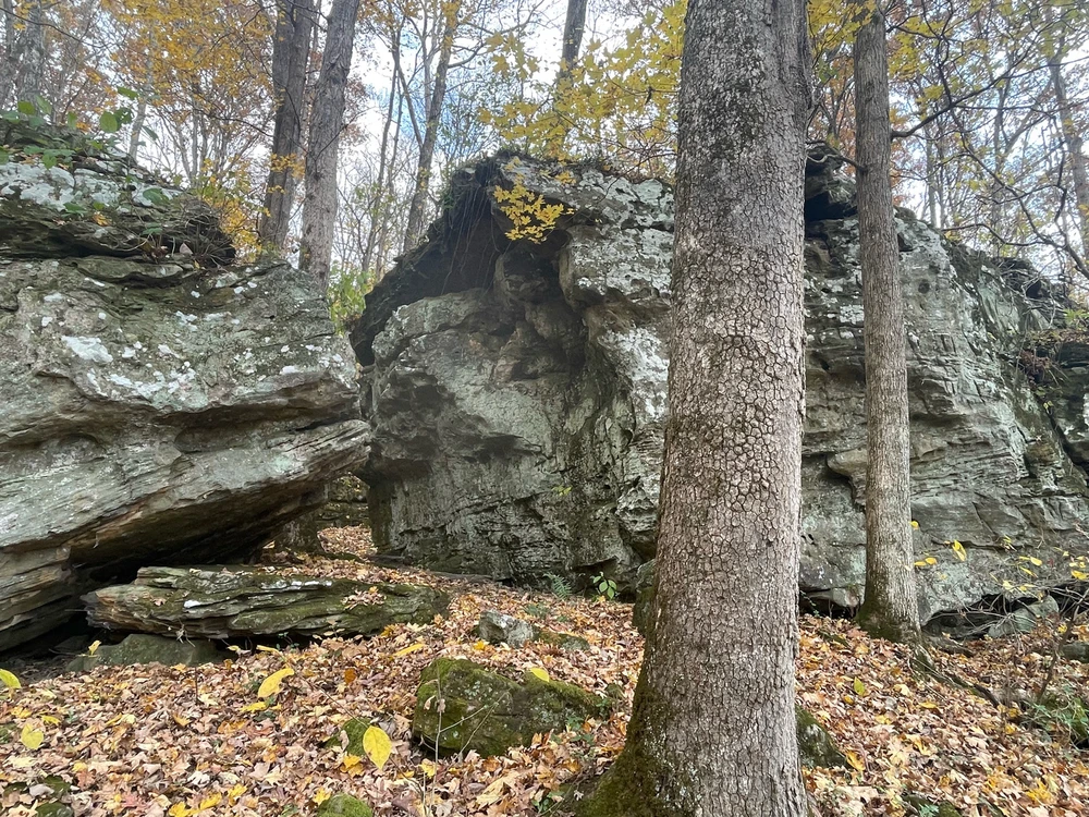 Image uploaded by Robbie