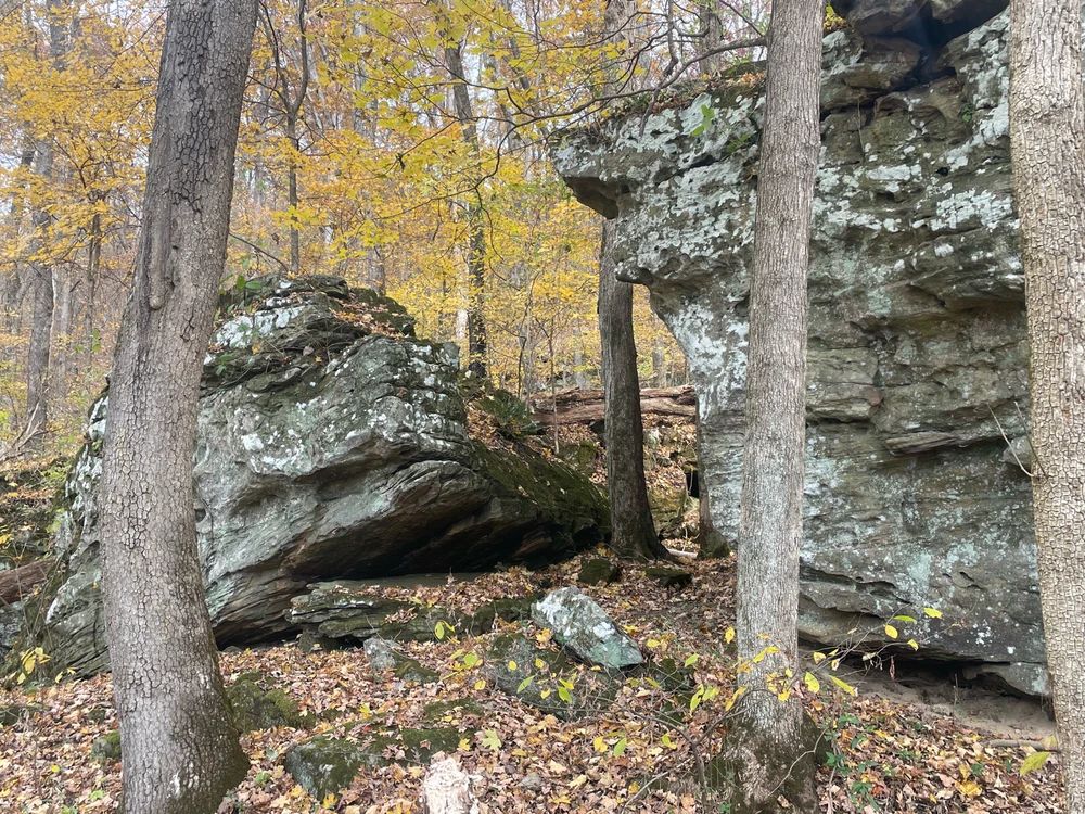 Image uploaded by Robbie