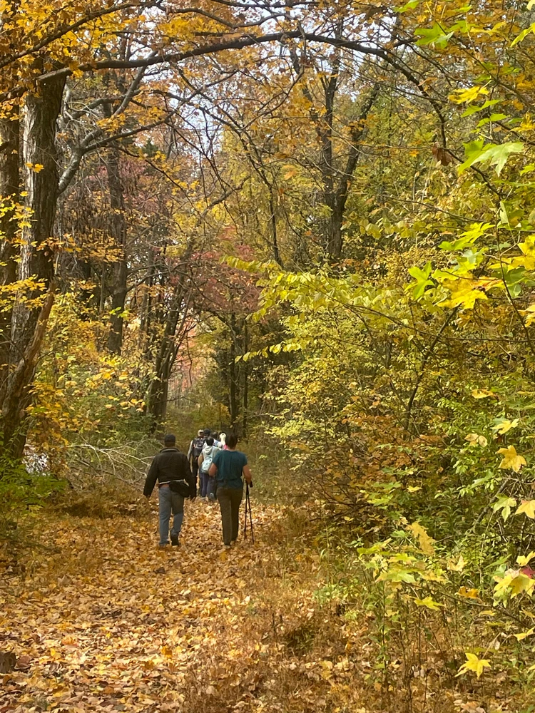 Image uploaded by Robbie