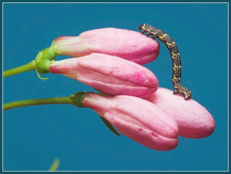 GIF uploaded by Alex