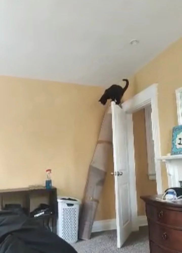 Image uploaded by Andrew