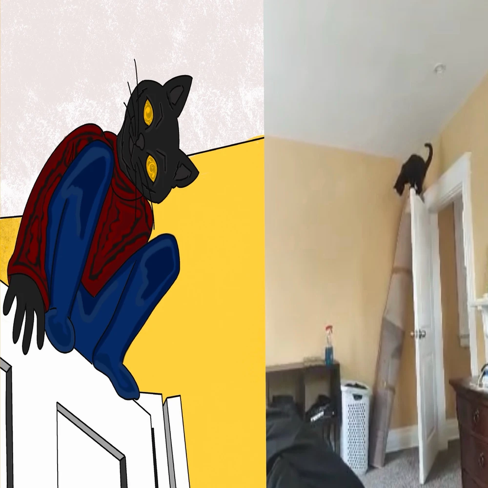 Image uploaded by Andrew