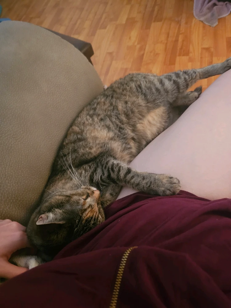 GIF uploaded by Molton