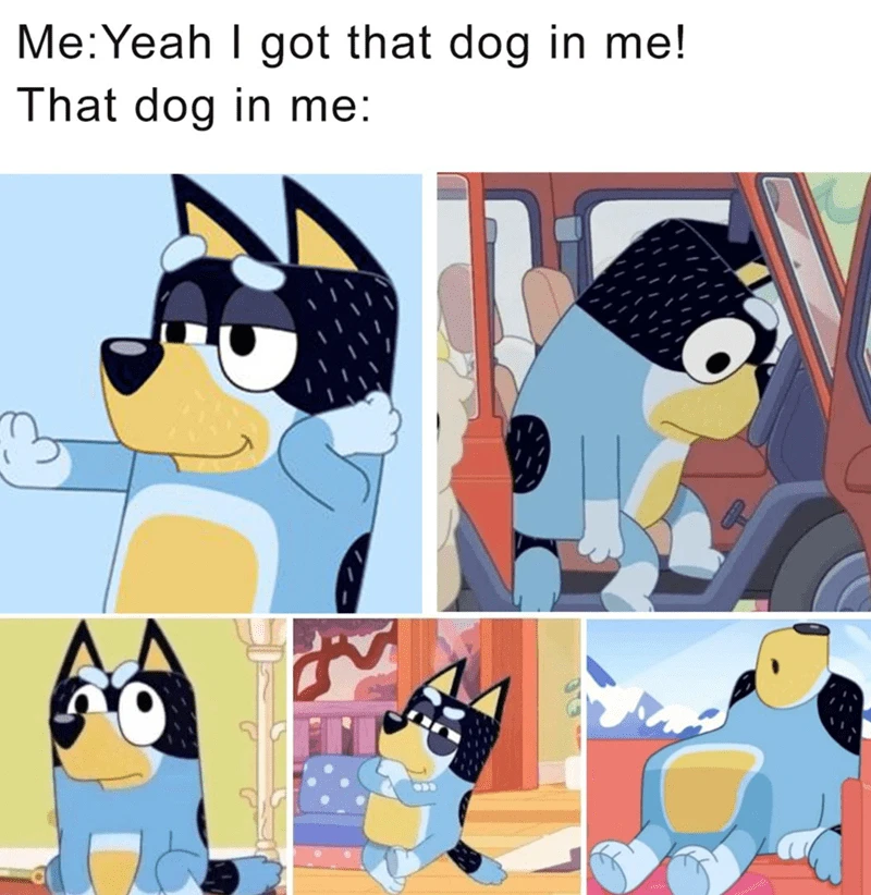 Memes number I have no idea.