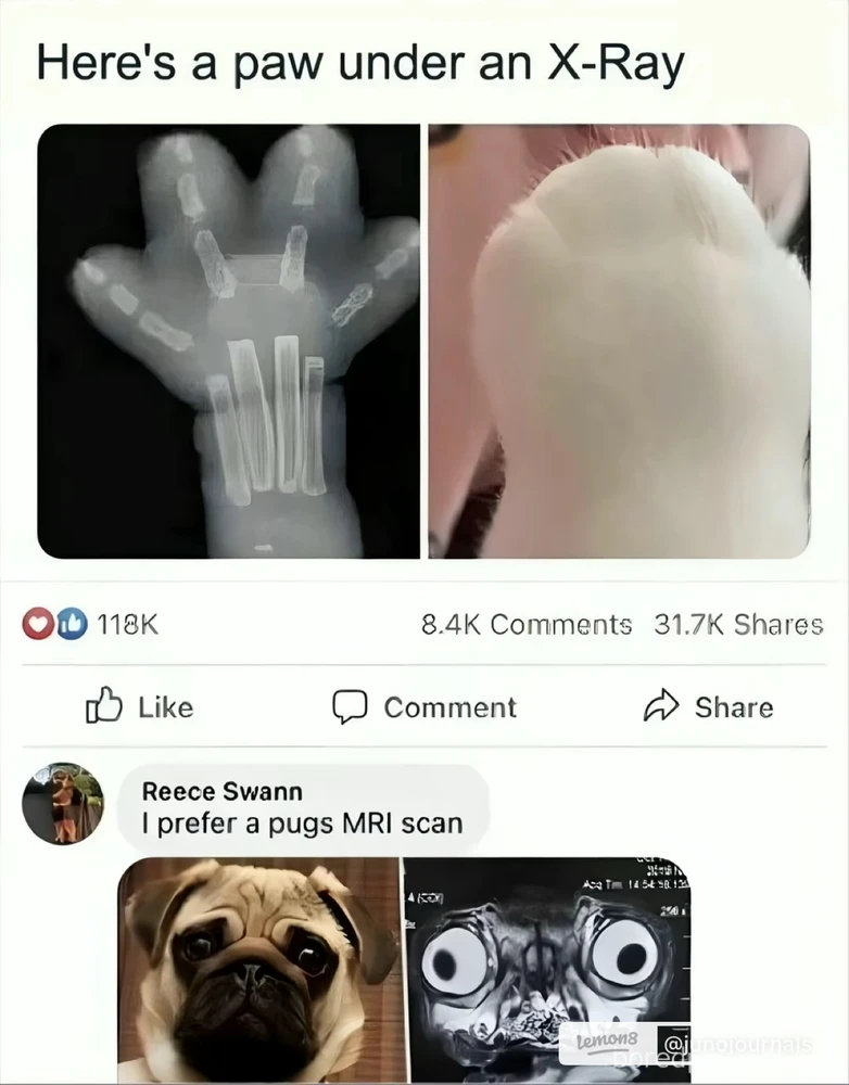 Memes number I have no idea.