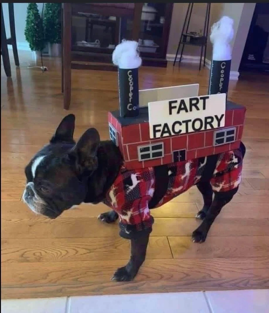 Memes number I have no idea.