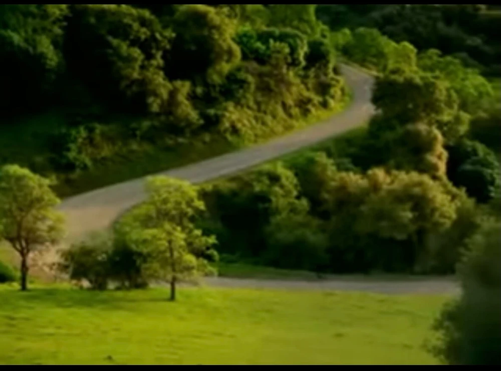 Memes number I have no idea.