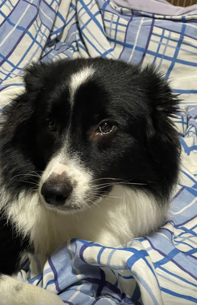 Duke passando na sua TimeLine