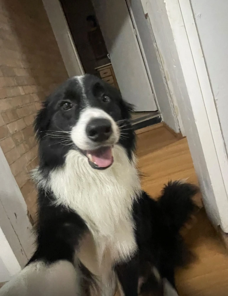 Duke passando na sua TimeLine