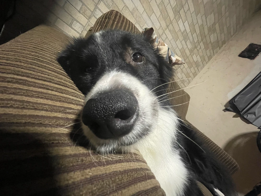 Duke passando na sua TimeLine