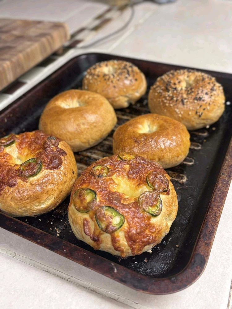 Homemade bagel attempt