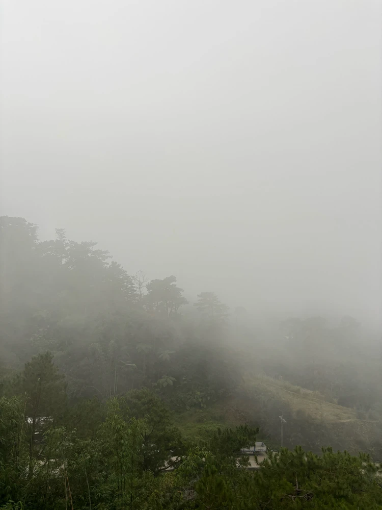 This Calm before the storm is terrifying.