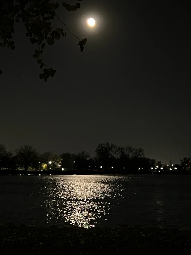 Image uploaded by Kishma