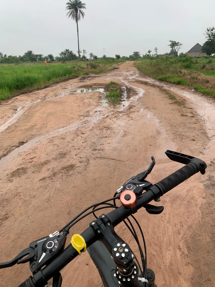 All I see is peace ✌️