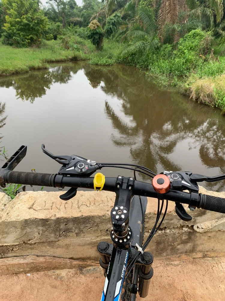 All I see is peace ✌️