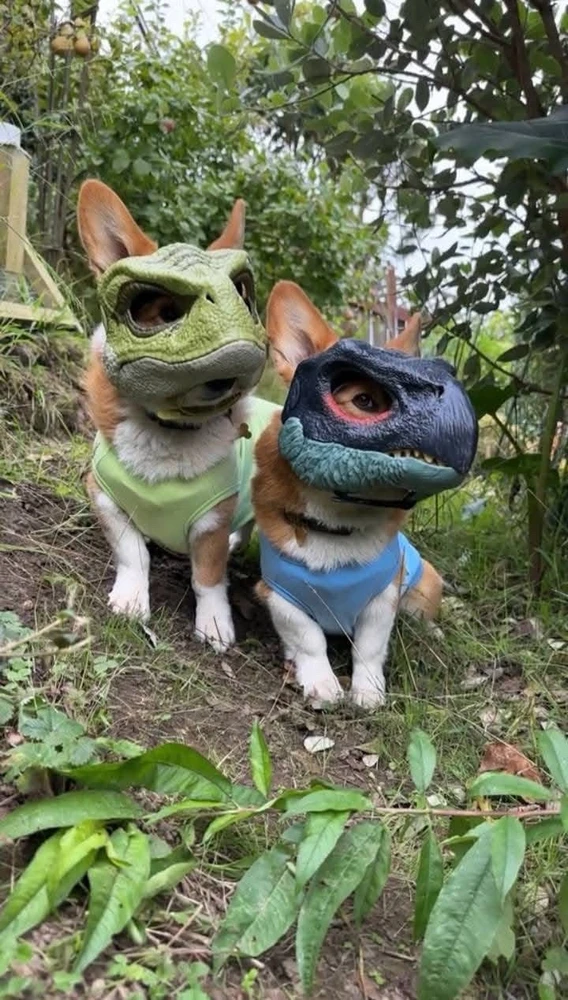 Dinosaurs or Dogs? 🦖or 🐶