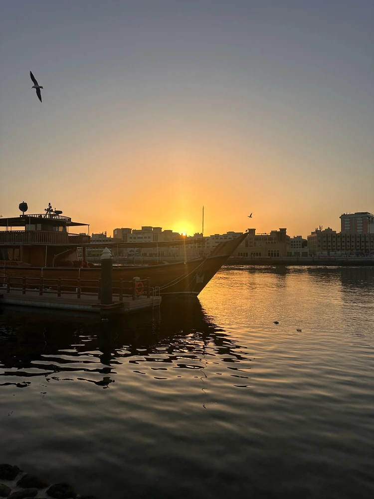 GIF uploaded by 𖤐ᴀʟɪᴇɴ ʀᴏᴏꜱᴛᴇʀ𖤐 