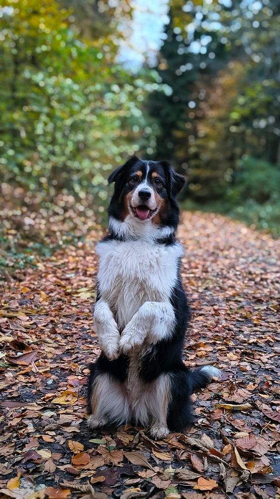 Wer ist ein braves Erdmännchen 😅😍