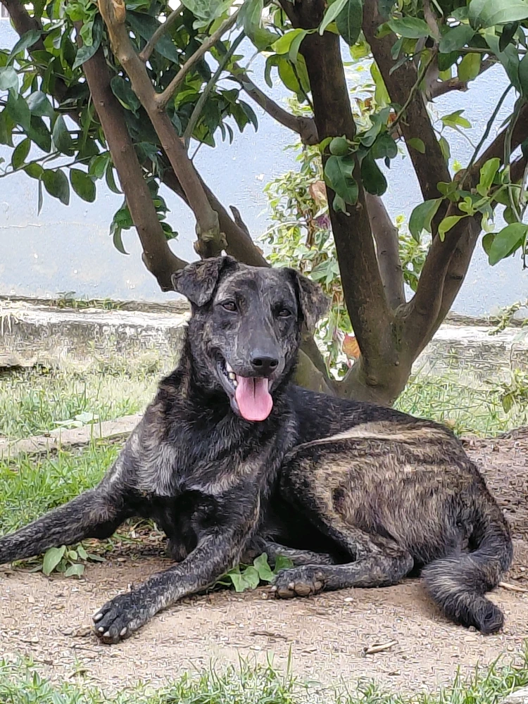 GIF uploaded by Normz