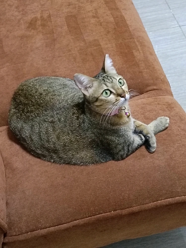 Image uploaded by Maria