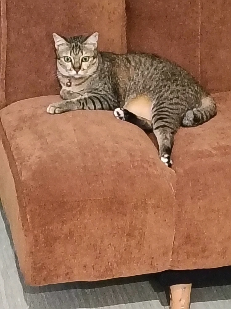 Image uploaded by Maria