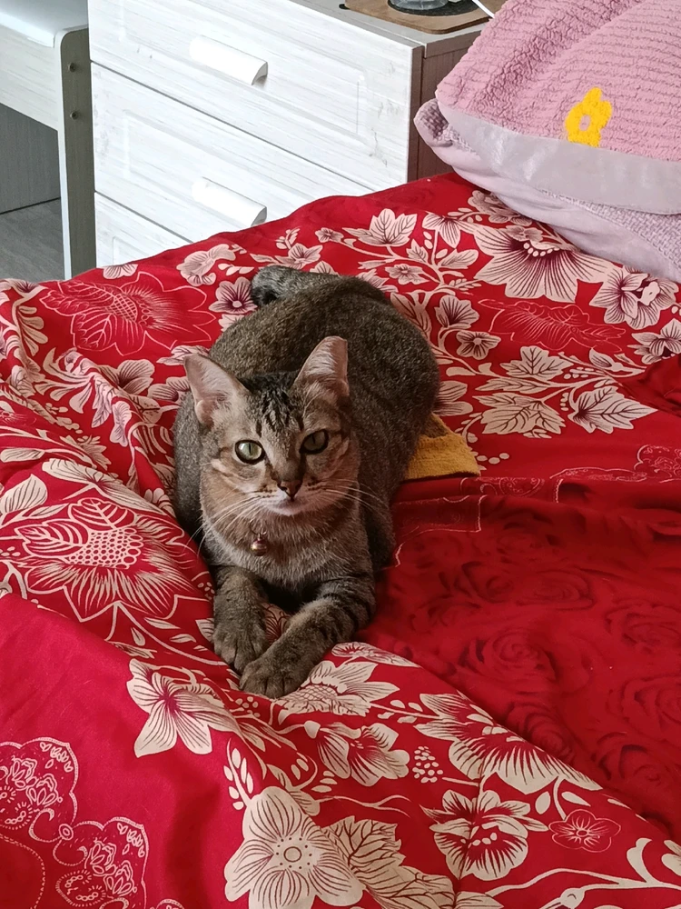 Image uploaded by Maria