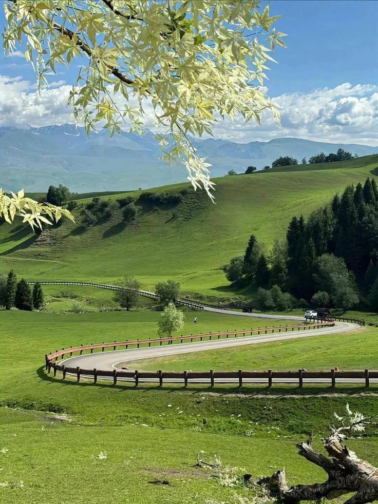 In my dreams😍🌻✨💖🥰🍀🩷