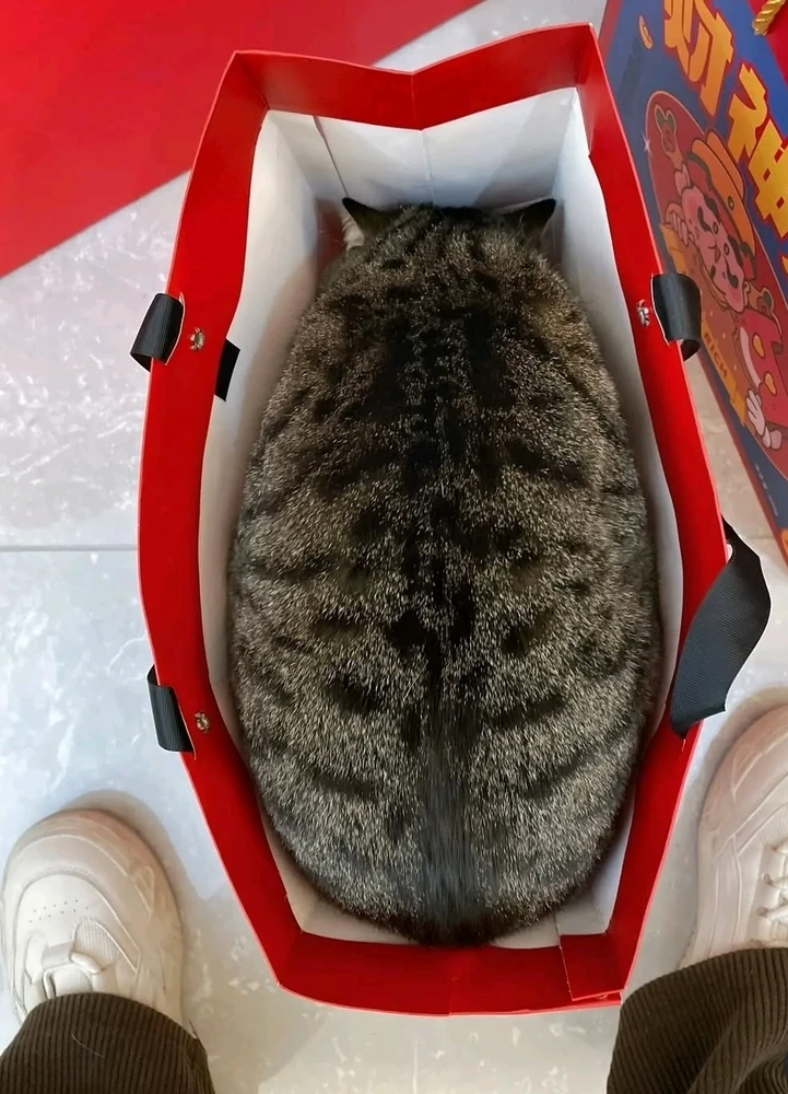 ππ»πβ¨οΈ
π« π―π₯°ππ«Ά