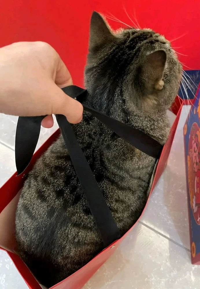 ππ»πβ¨οΈ
π« π―π₯°ππ«Ά