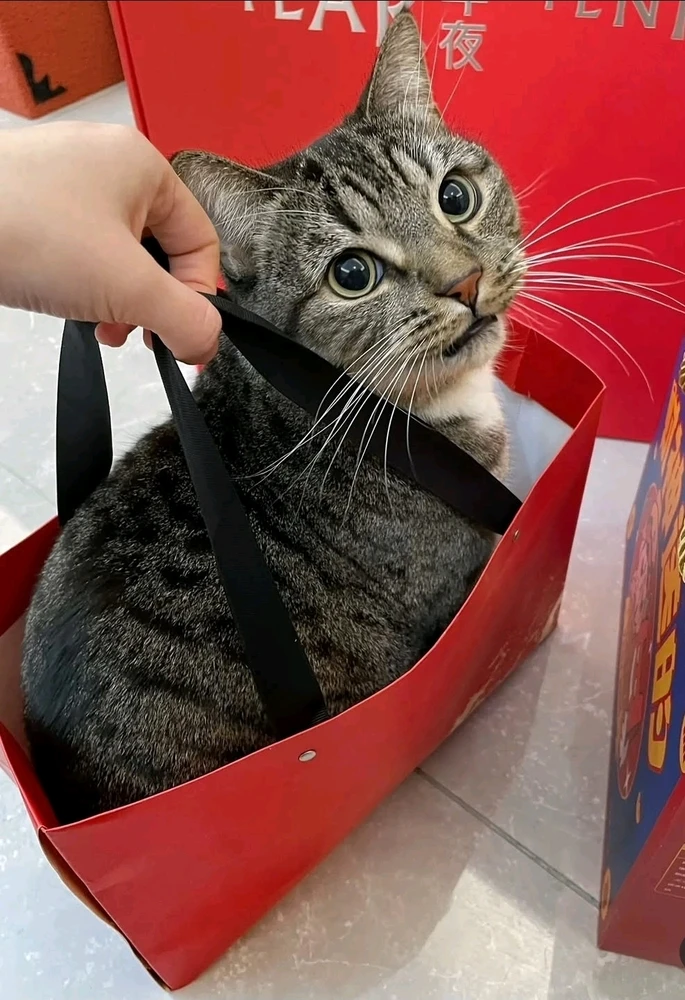 ππ»πβ¨οΈ
π« π―π₯°ππ«Ά