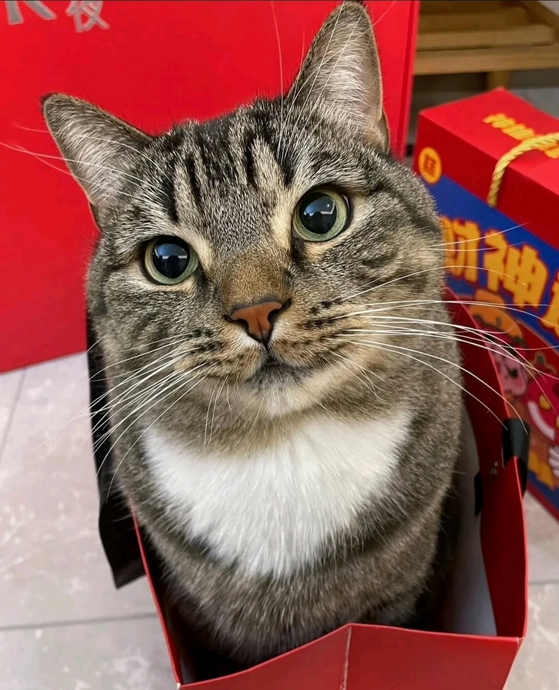 ππ»πβ¨οΈ
π« π―π₯°ππ«Ά