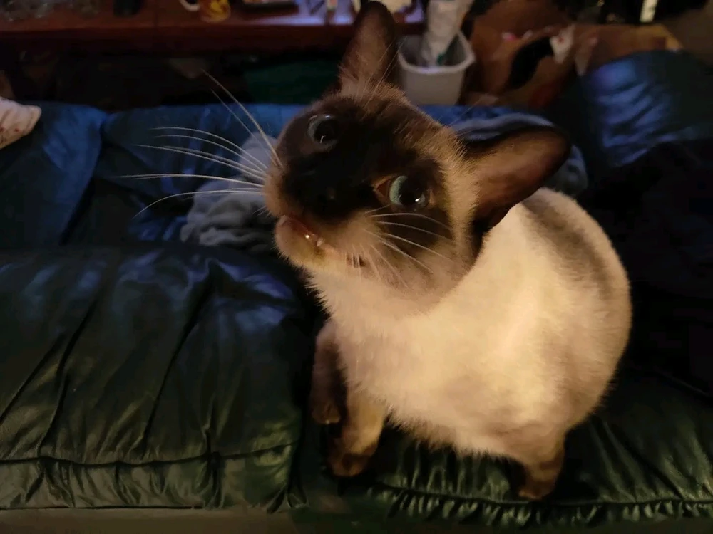 Mr Serge and his big smile.