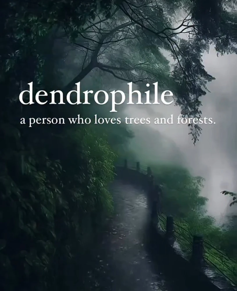 🫶🏻🌳🌲🍃🤎💚